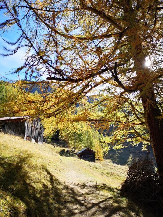 Chalet Le Триент Экстерьер фото