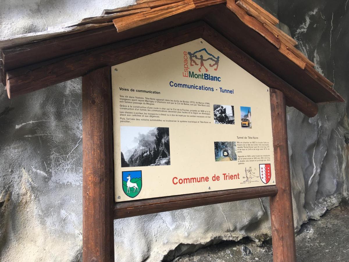 Chalet Le Триент Экстерьер фото